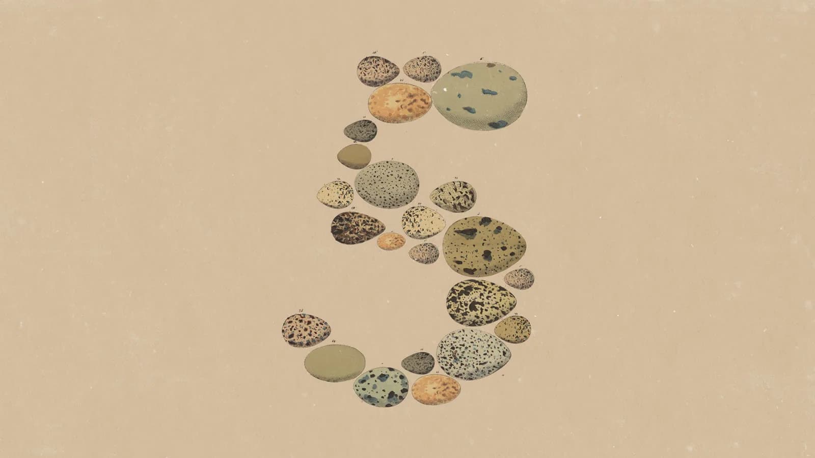 Anthropic Rilis Claude Opus 5: Mendekati Fable 5 dengan Biaya Separuhnya